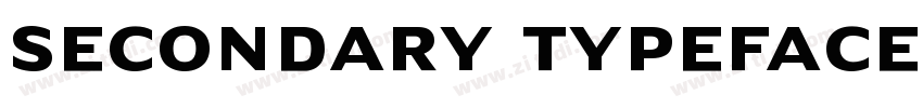 Secondary typeface字体转换 Secondary typeface字体转换